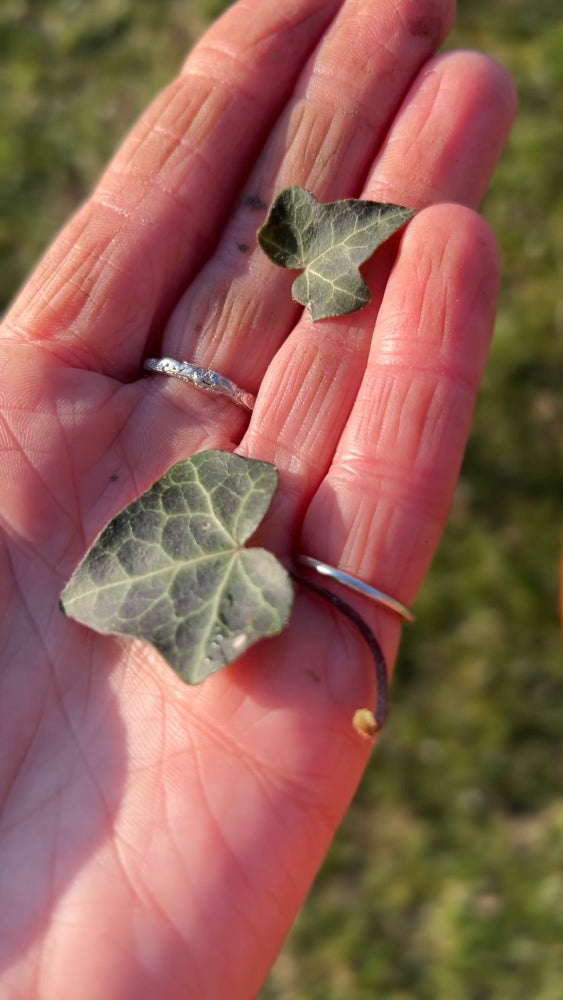 Hand holding some ivy leaves