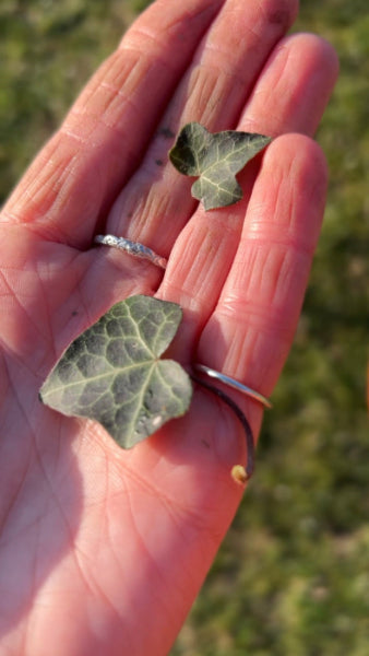 Hand holding some ivy leaves