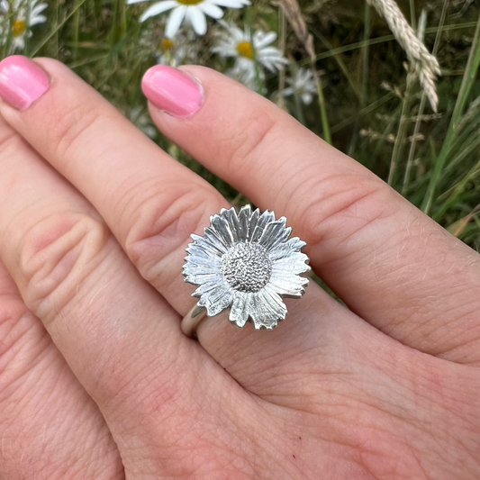 Hand wearing silver daisy ring in daisy field