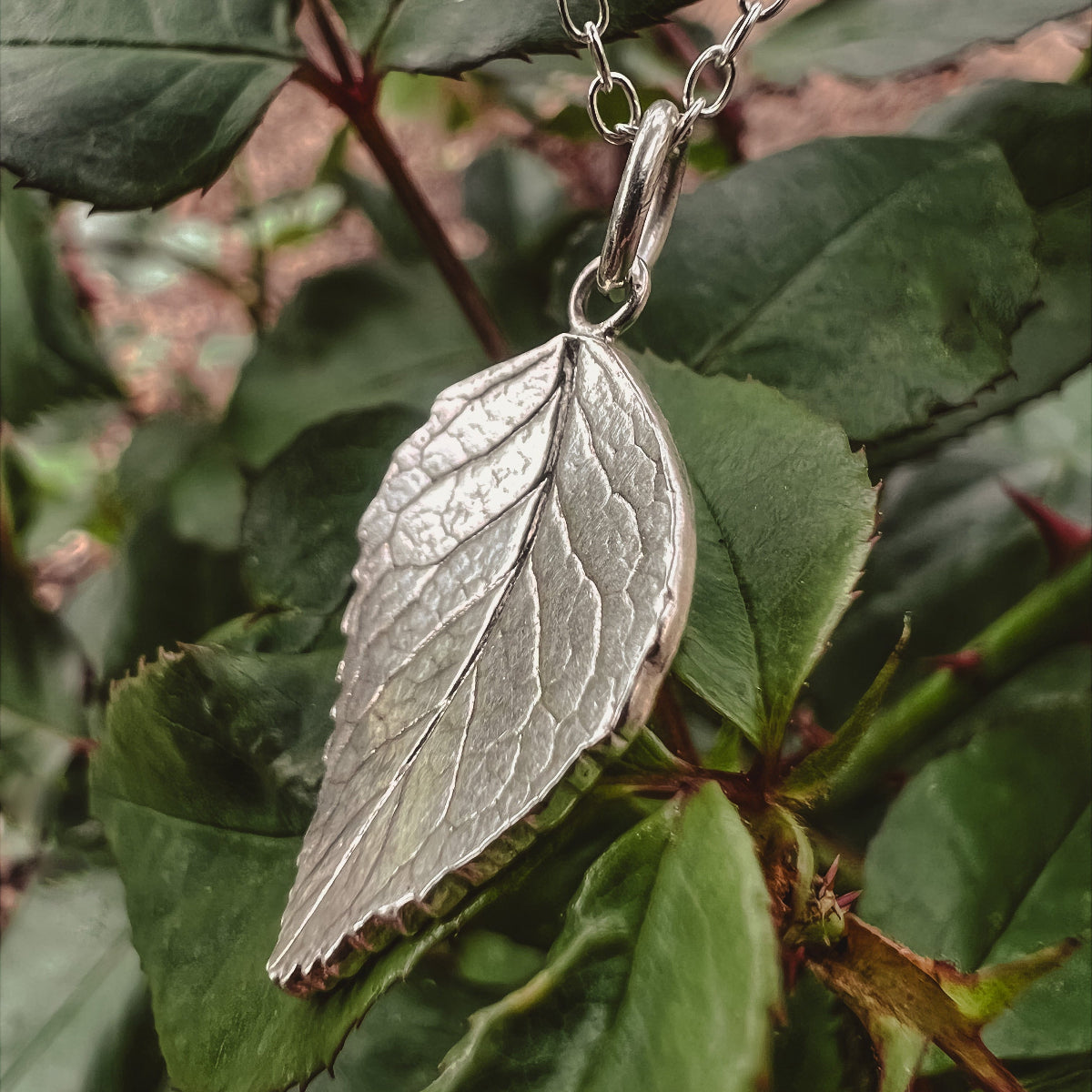 silver rose leaf necklace on green rose leaves