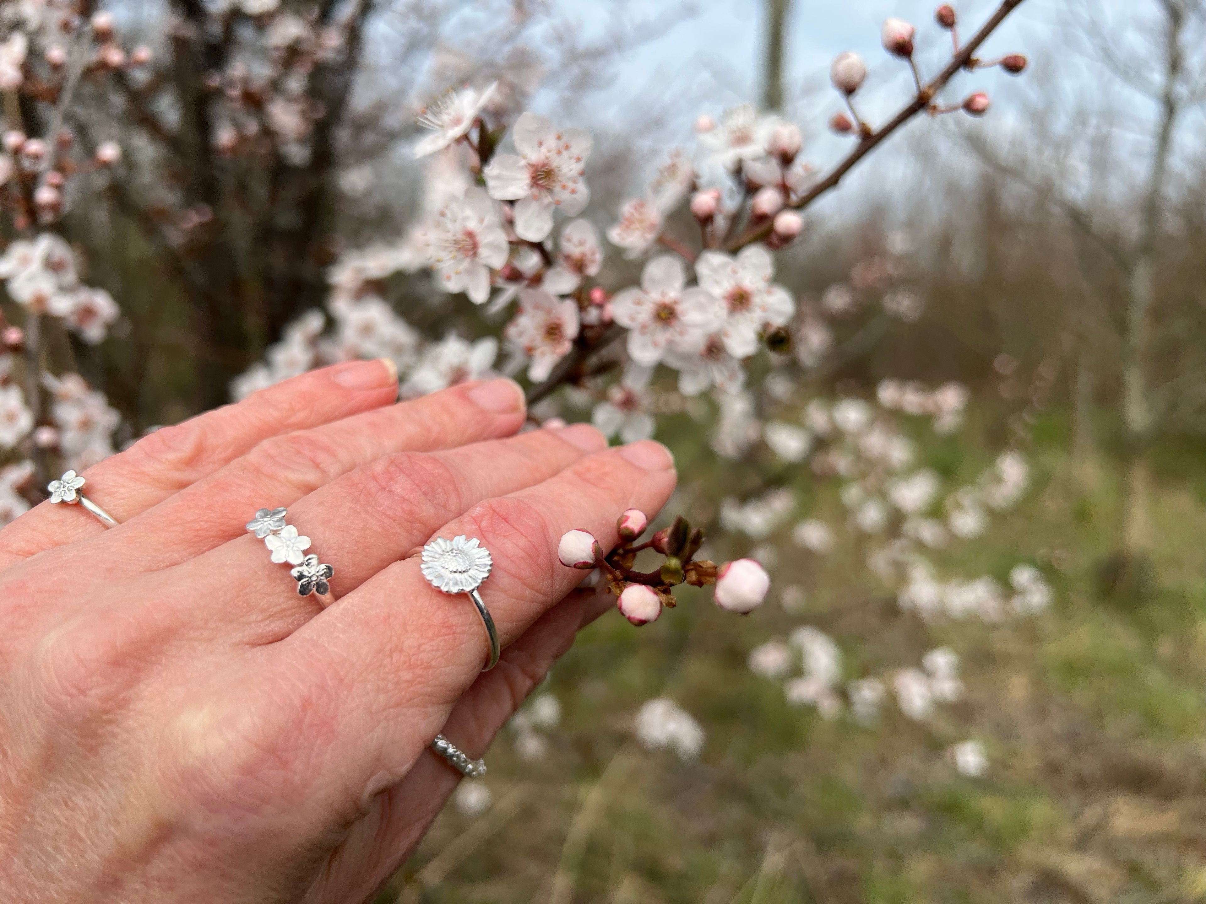 Hand wearing silver flower rings holding blossom on tree