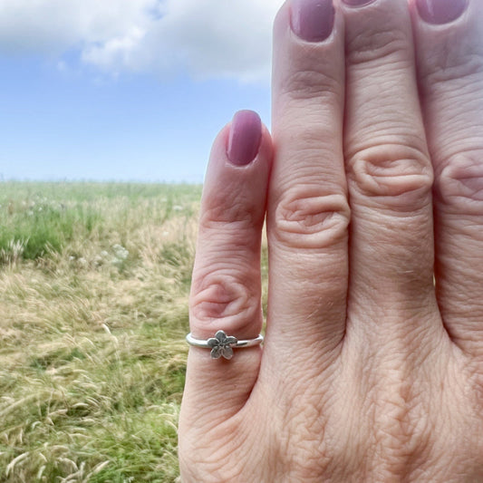 Hand with pink nails, wearing silver forget me not ring, countryside background