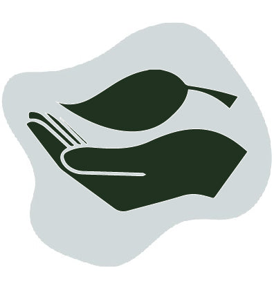 Hand and leaf icon