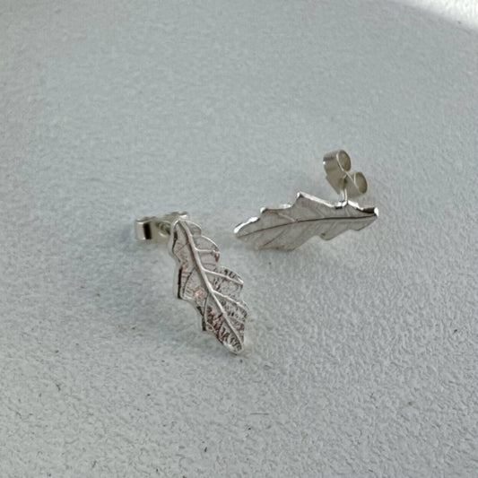 Silver oak leaf studs on white background