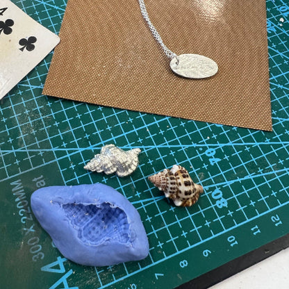 Shell, mould and silver shell on green mat