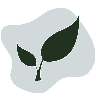 Double leaf icon
